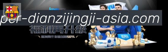未来规划